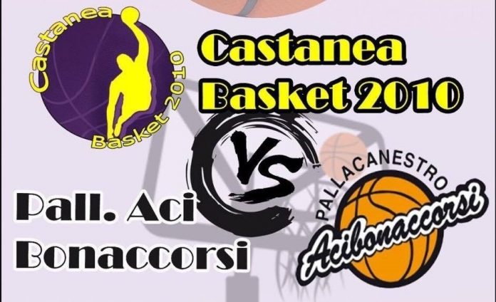 Castanea Basket